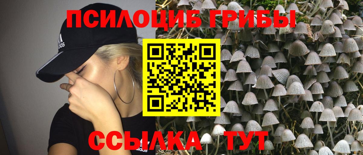 Галлюциногенные грибы Psilocybine cubensis  Галлюциногенные грибы Psilocybine cubensis  Вход с VPN  Лысьва 